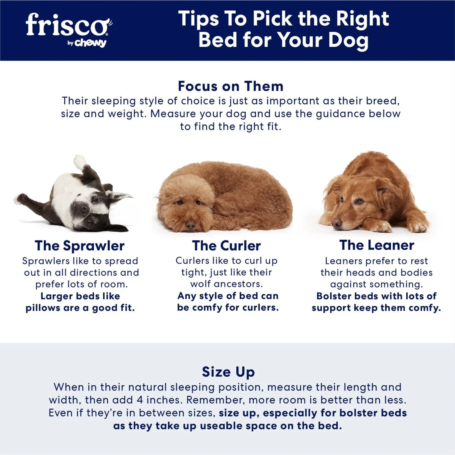 Frisco Pillow Dog Bed W/ Removeable Cover - Image 5