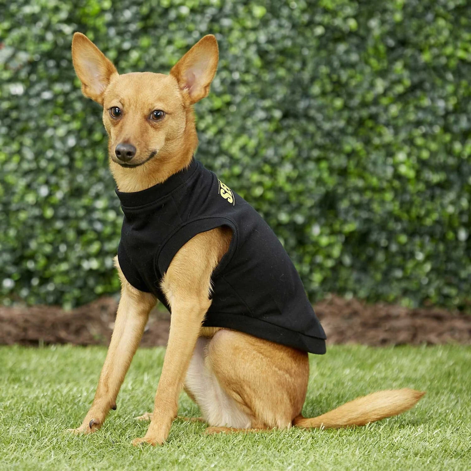 Frisco Security Dog & Cat T-Shirt - Image 6