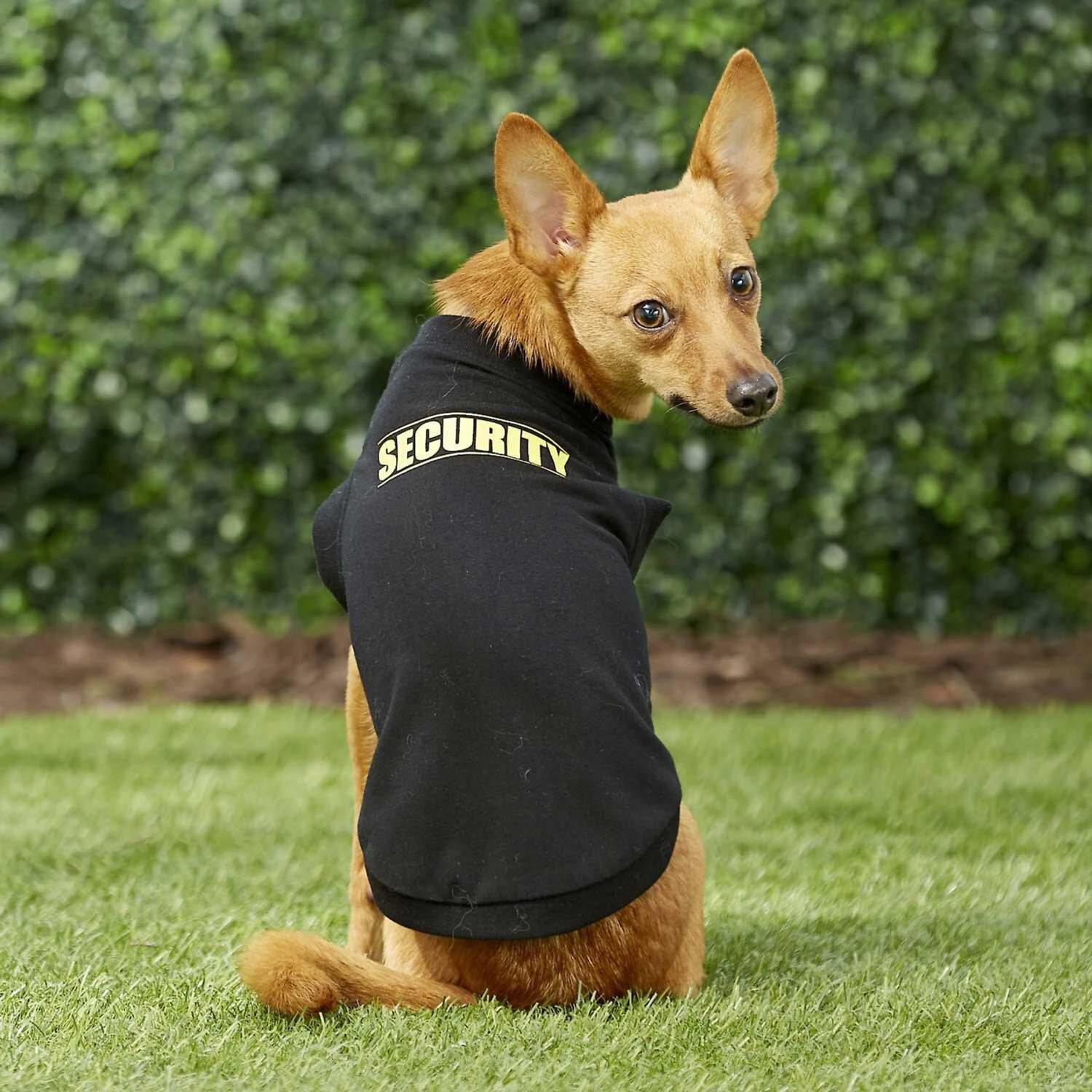 Frisco Security Dog & Cat T-Shirt - Image 7