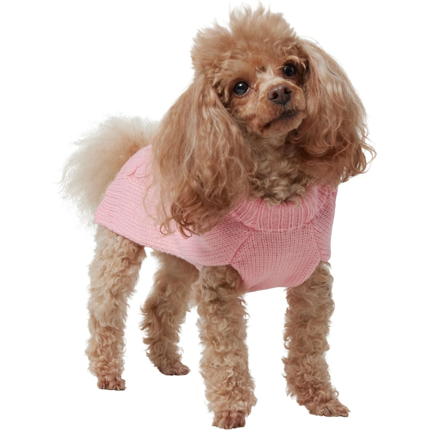 Frisco Dog & Cat Cable Knitted Sweater - Image 3