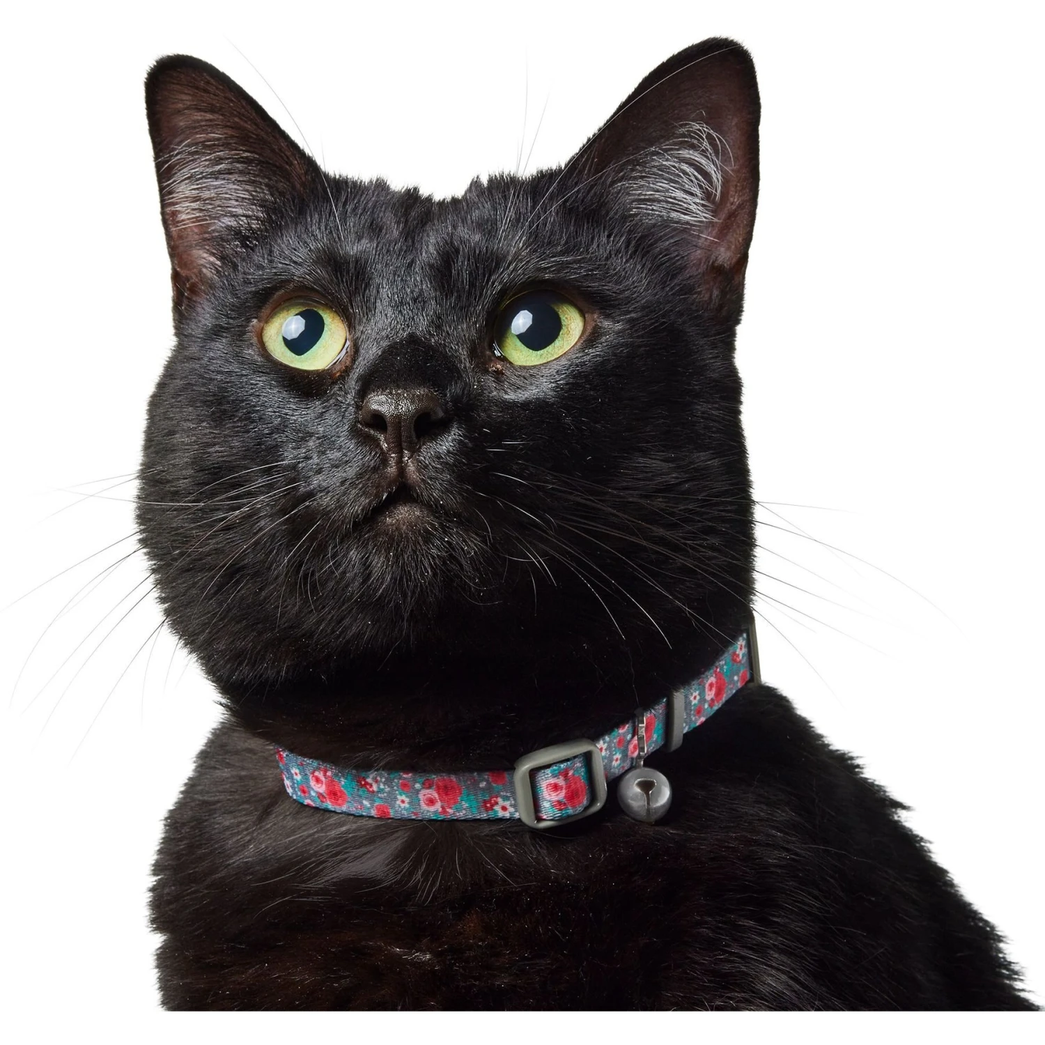 Frisco Rose Polyester Breakaway Cat Collar With Bell - Image 4