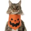 Frisco Jack O' Lantern Pumpkin Dog & Cat Bandana