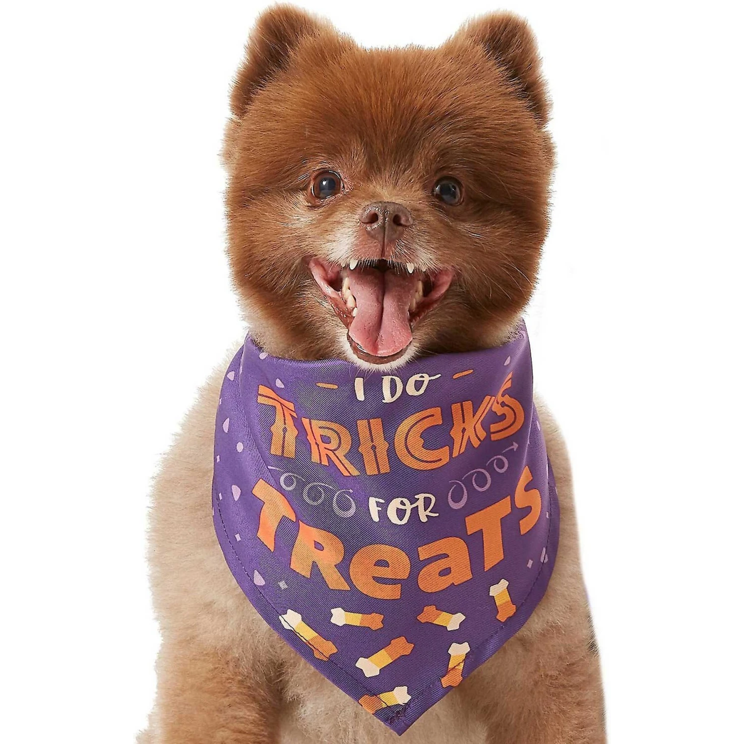 Frisco I Do Tricks For Treats Dog & Cat Bandana - Image 4