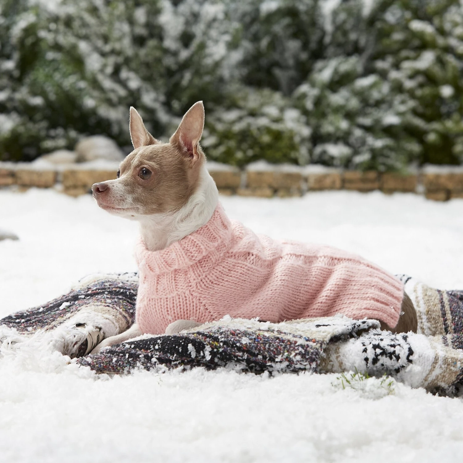 Frisco Ultra-Soft Marled Dog & Cat Sweater - Image 6
