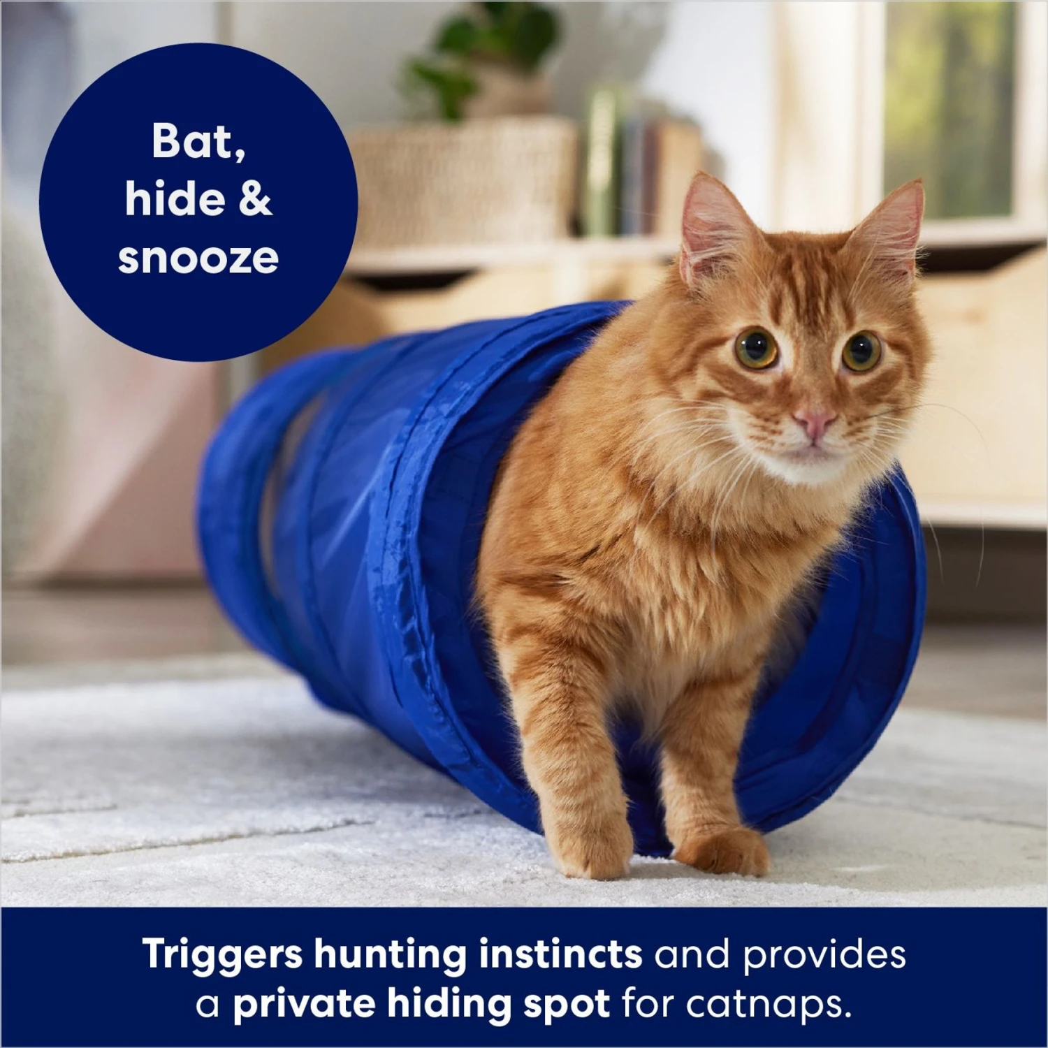 Frisco Foldable Play Tunnel With Mesh Cat Toy - Image 3