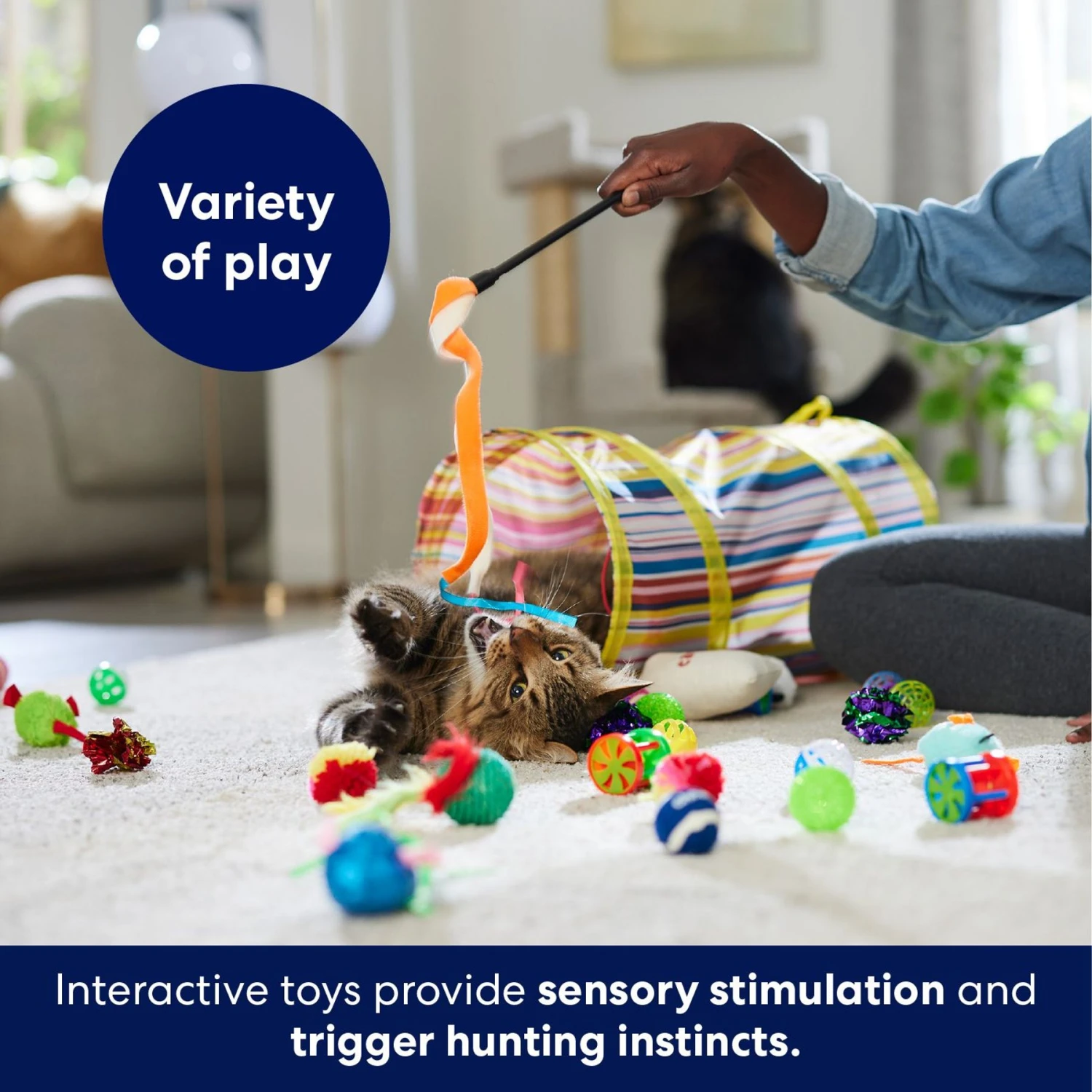 Frisco Plush, Teaser, Ball & Tunnel Variety Pack Cat Toy With Catnip - Image 5