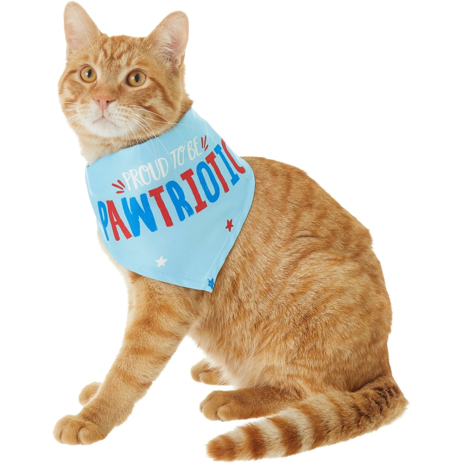 Frisco Pawtriot Dog & Cat Bandana - Image 3