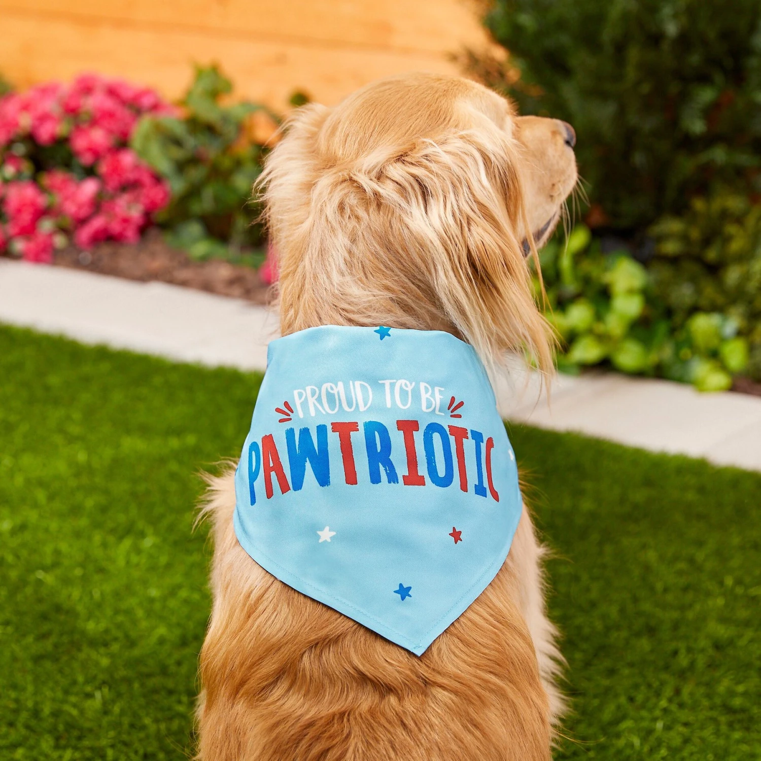 Frisco Pawtriot Dog & Cat Bandana - Image 5