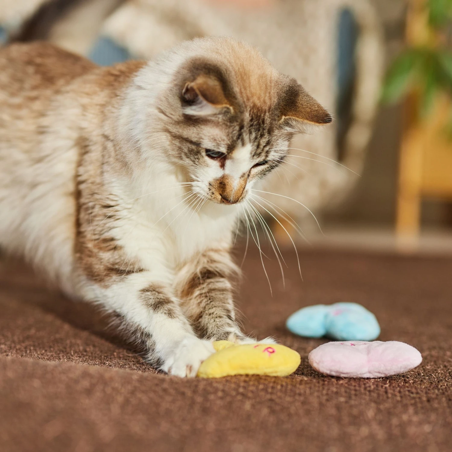 Frisco Candy Hearts Plush Cat Toy With Catnip, 3 Count - Image 3