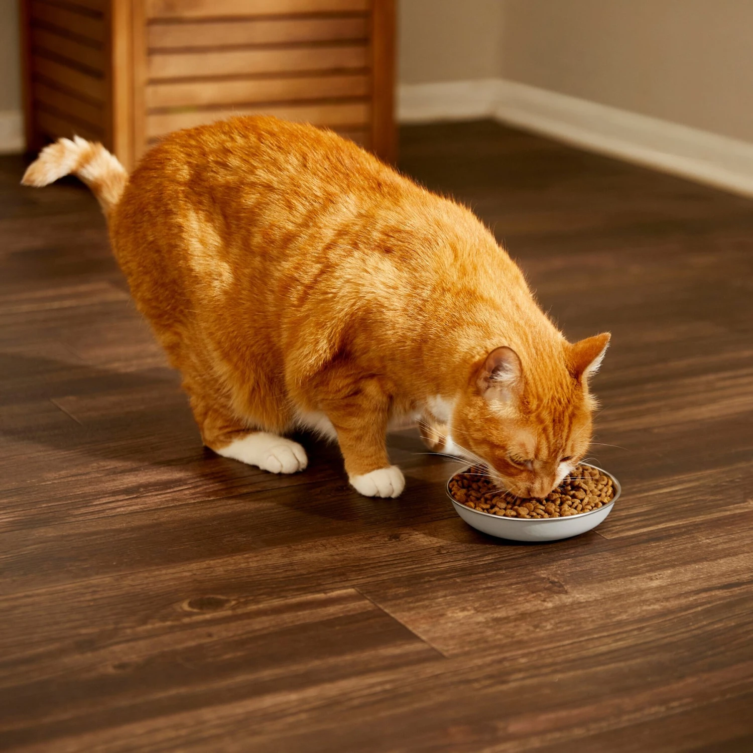 Frisco Saucer Cat Bowl - Image 6