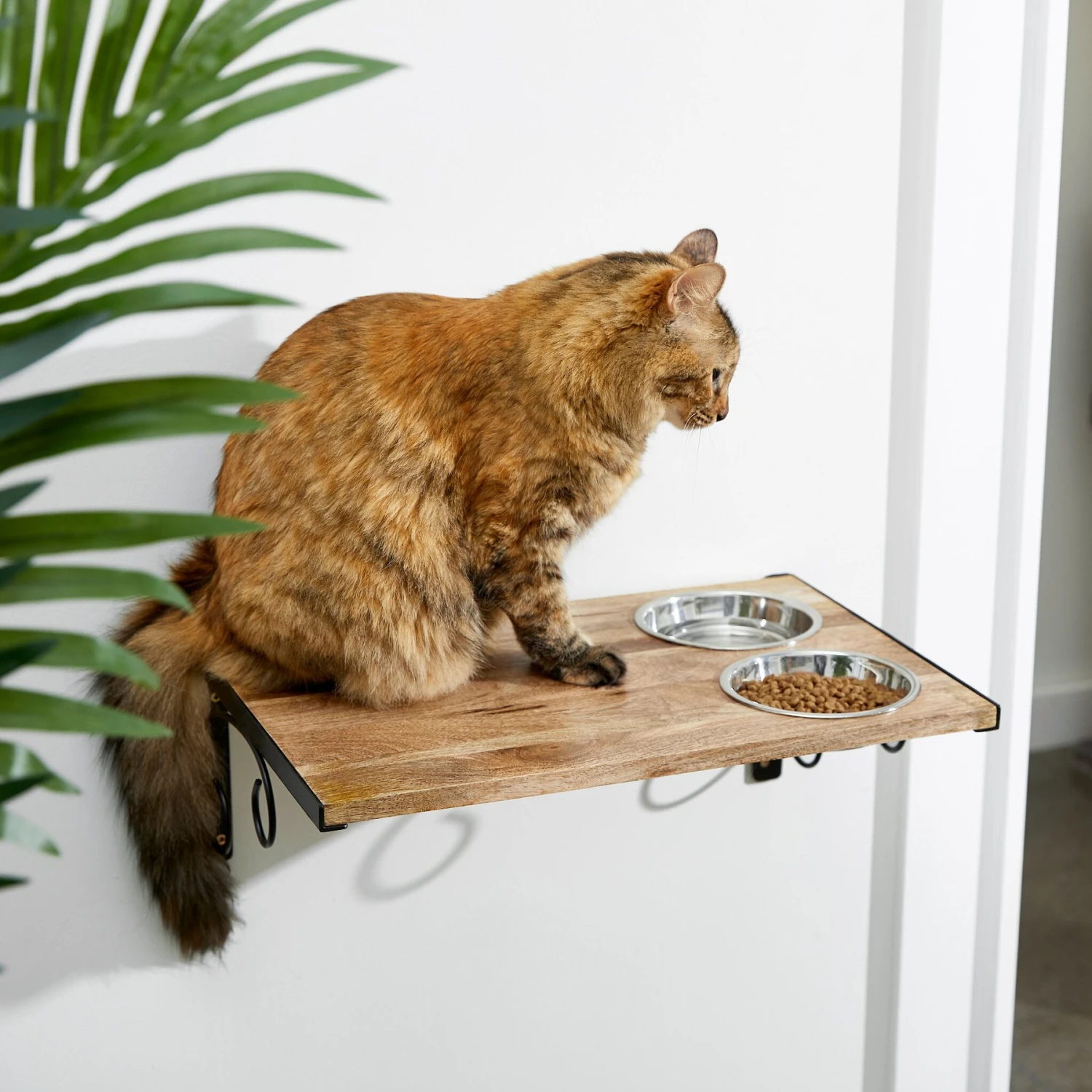 Frisco Wooden Wall Mounted Stainless Steel Cat Feeding Station With Bowl