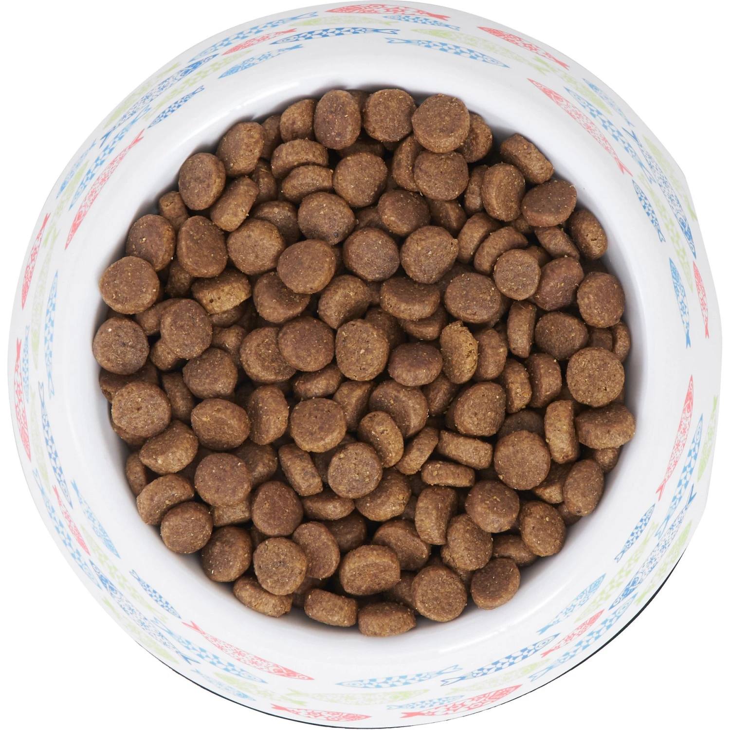 Frisco Colorful Fish Melamine Bowl - Image 5