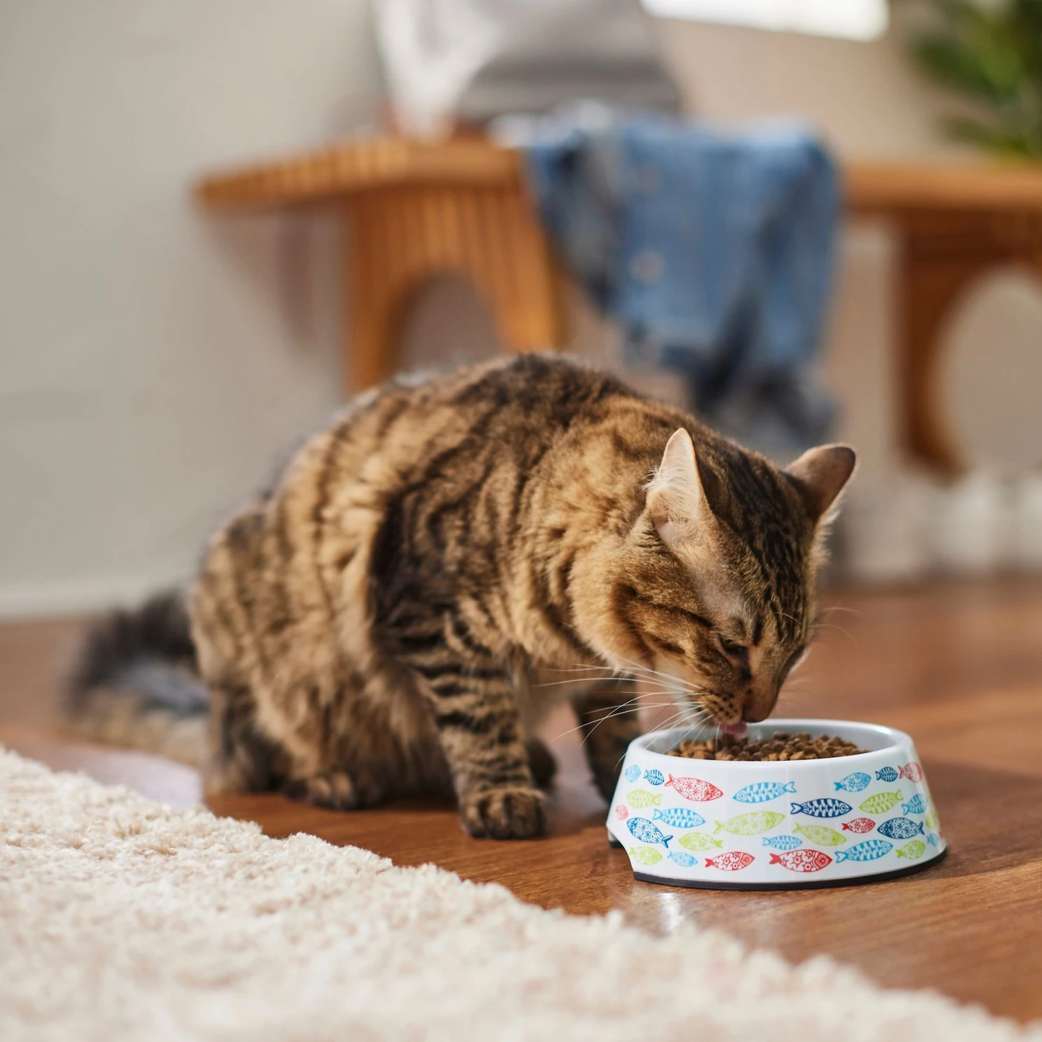 Frisco Colorful Fish Melamine Bowl - Image 6