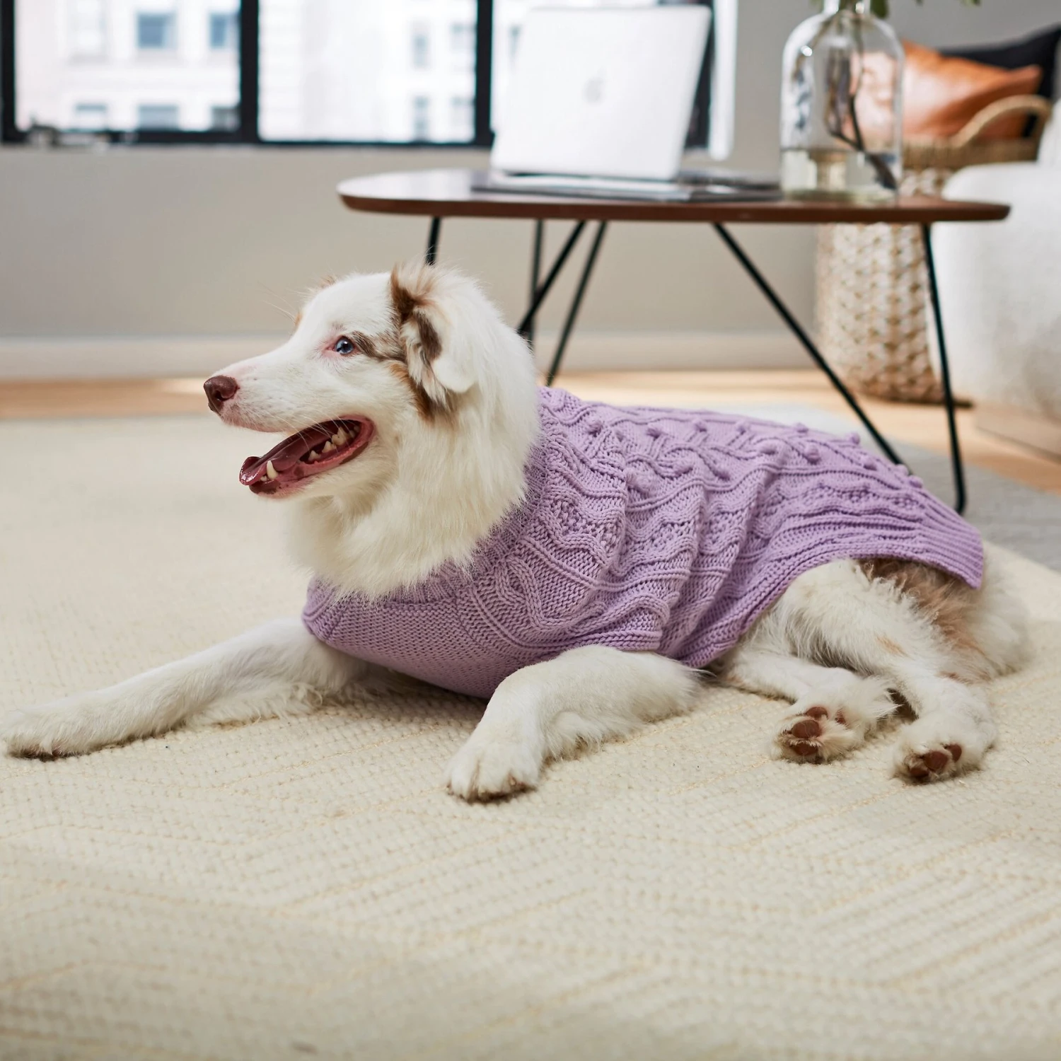 Frisco Bobble-Knit Dog & Cat Turtleneck Sweater - Image 7