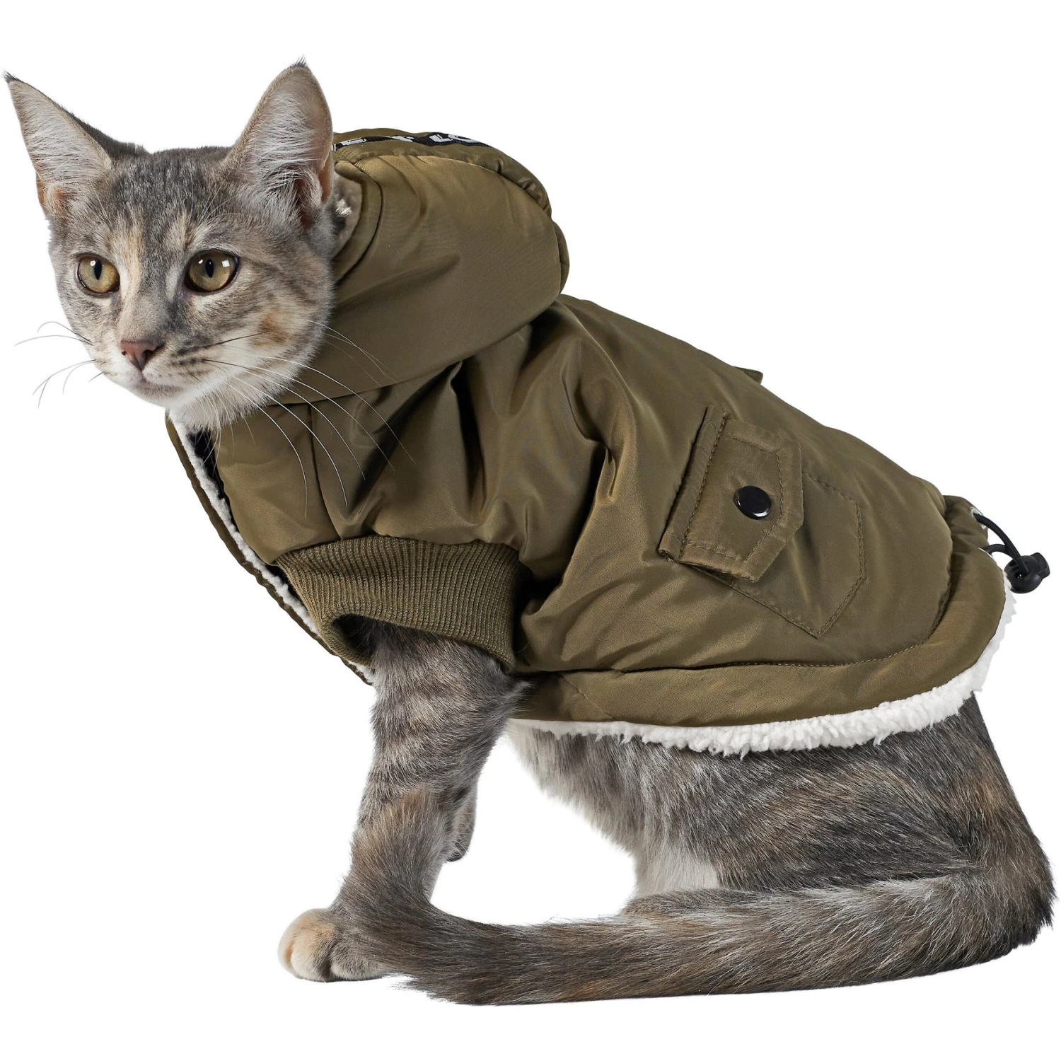 Frisco Mid-Heavyweight Love Insulated Dog & Cat Coat - Image 3