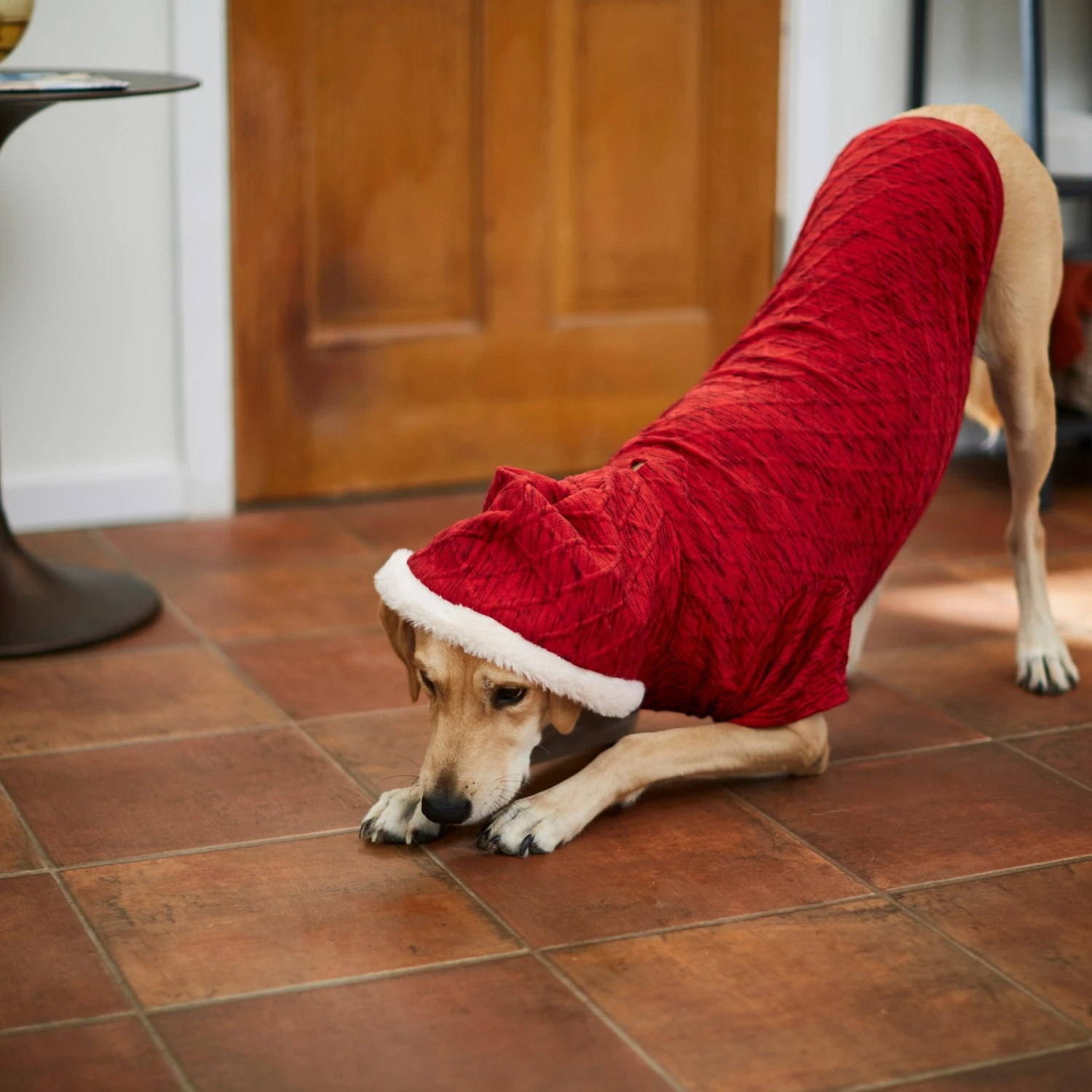 Frisco Textured Knit Dog & Cat Hoodie - Image 8