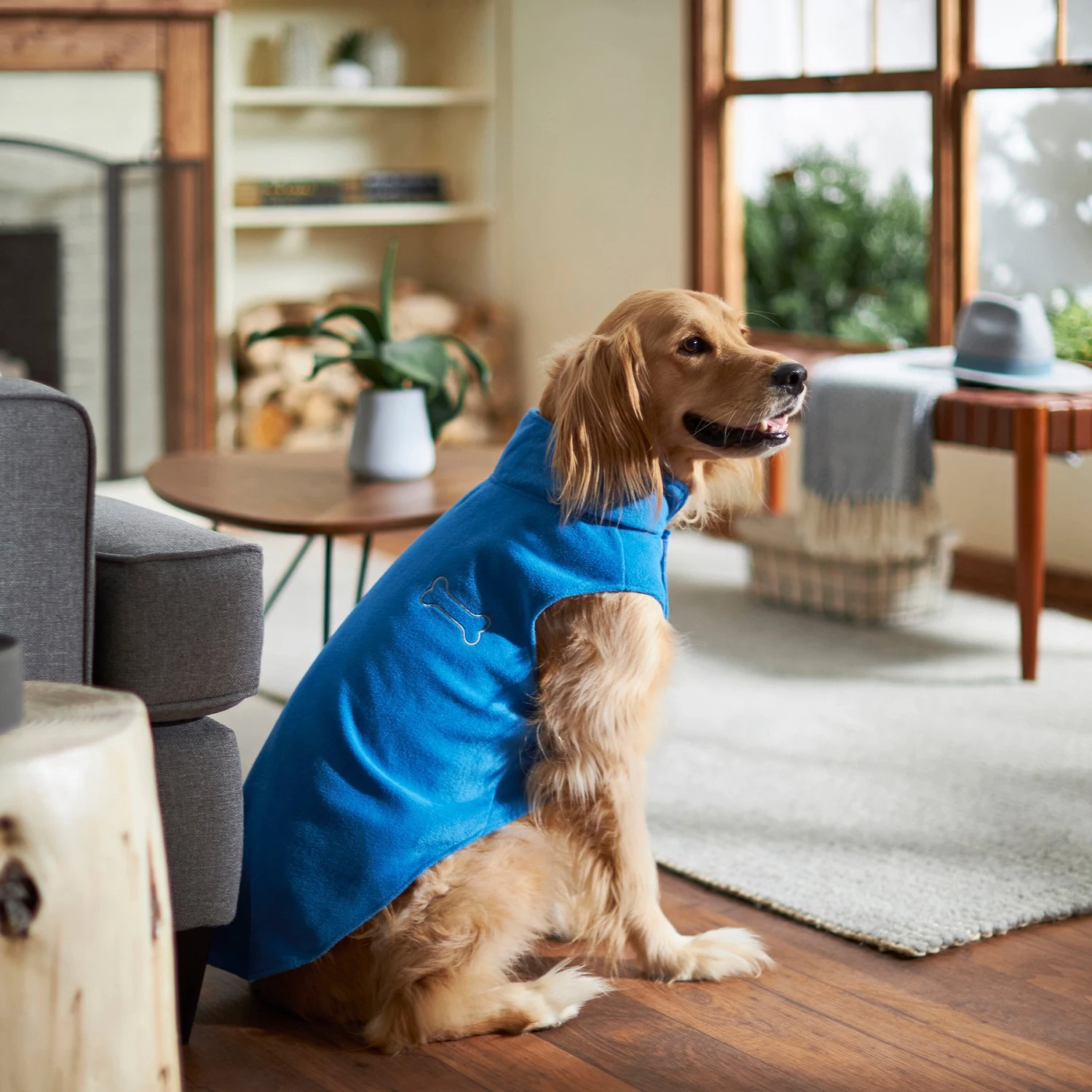 Frisco Ultra Lightweight Basic Dog & Cat Fleece Vest - Image 7