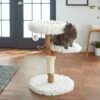 Frisco Natural Wood Modern Cat Tree With Toy, Ivory, Medium