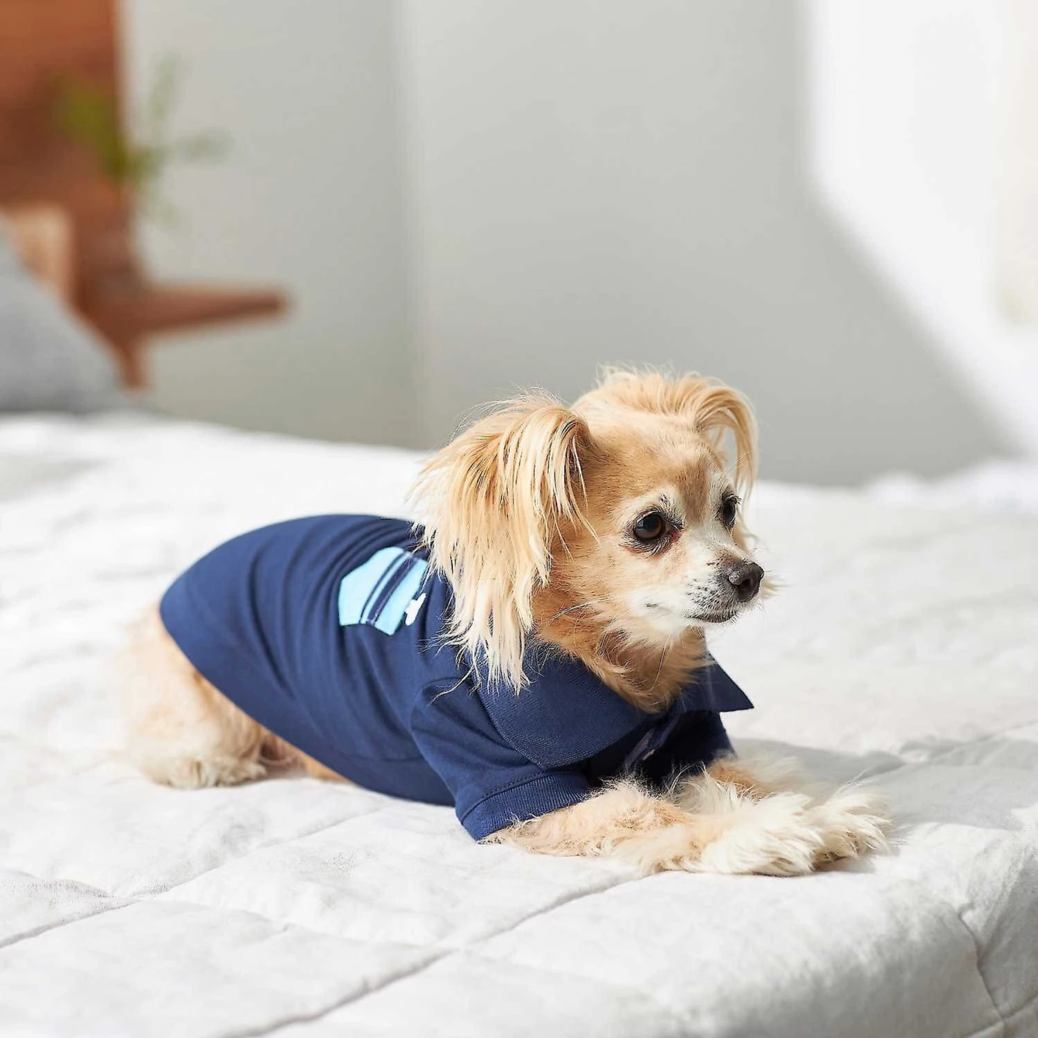 Frisco Dog & Cat Polo Shirt With Accent Pocket - Image 8