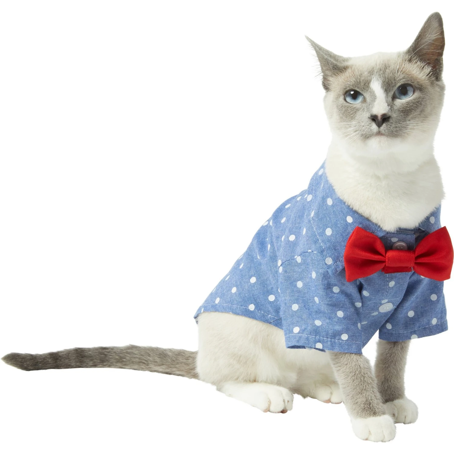 Frisco Polka Dot Chambray Dog & Cat Button Up Shirt - Image 3