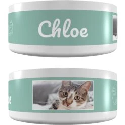 Frisco Playful Kitty Ceramic Personalized Cat Bowl, 1-cup, 8oz