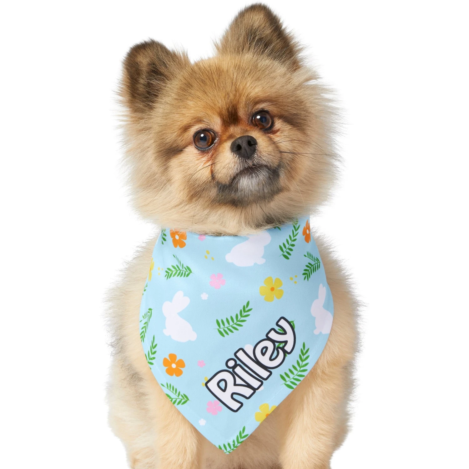 Frisco Easter Bunny Personalized Dog & Cat Bandana - Image 7