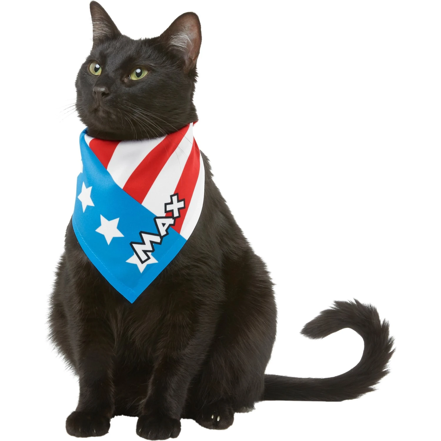 Frisco Americana Personalized Dog & Cat Bandana - Image 8