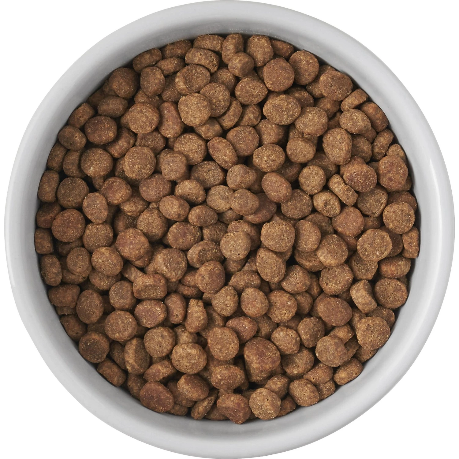 Frisco Cat Print Non-skid Elevated Ceramic Cat Bowl, Short - Image 5