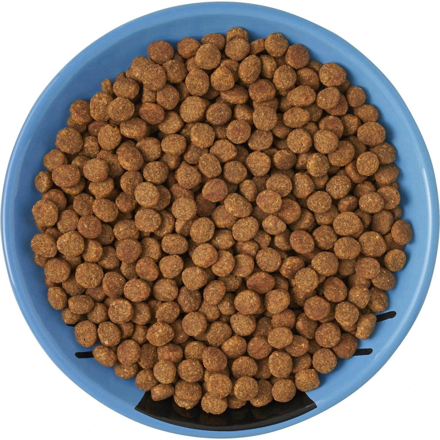 Frisco Cat Face Non-skid Ceramic Cat Dish, Blue - Image 6