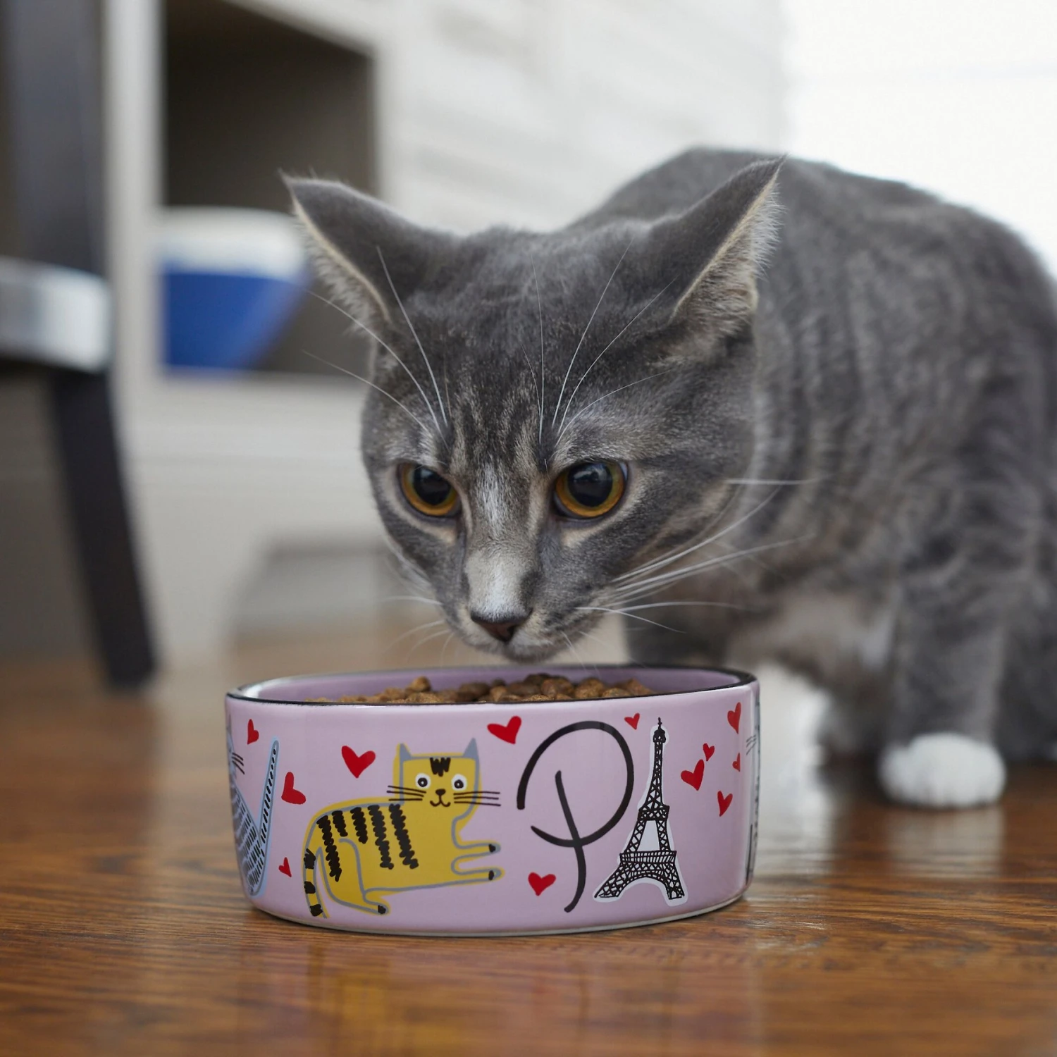 Frisco Paris Non-skid Ceramic Cat Dish - Image 3