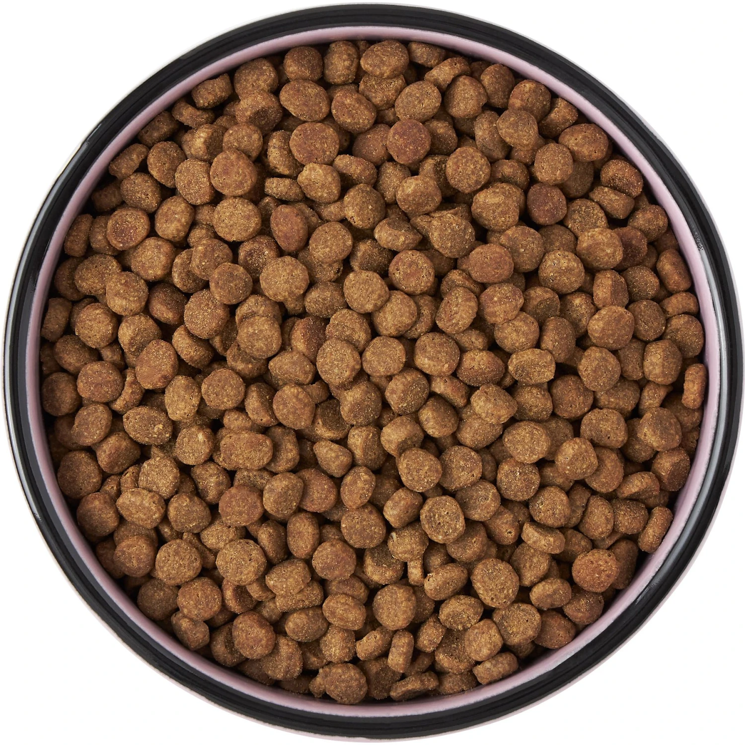 Frisco Paris Non-skid Ceramic Cat Dish - Image 6