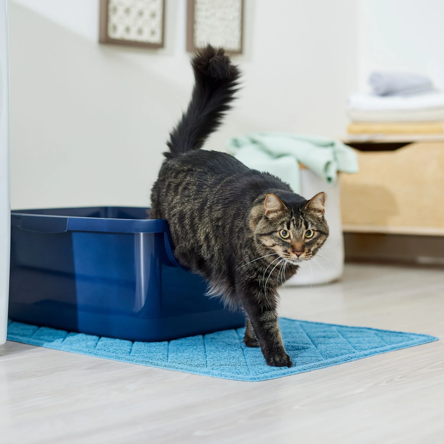 Frisco Quilted Cat Litter Mat - Image 4