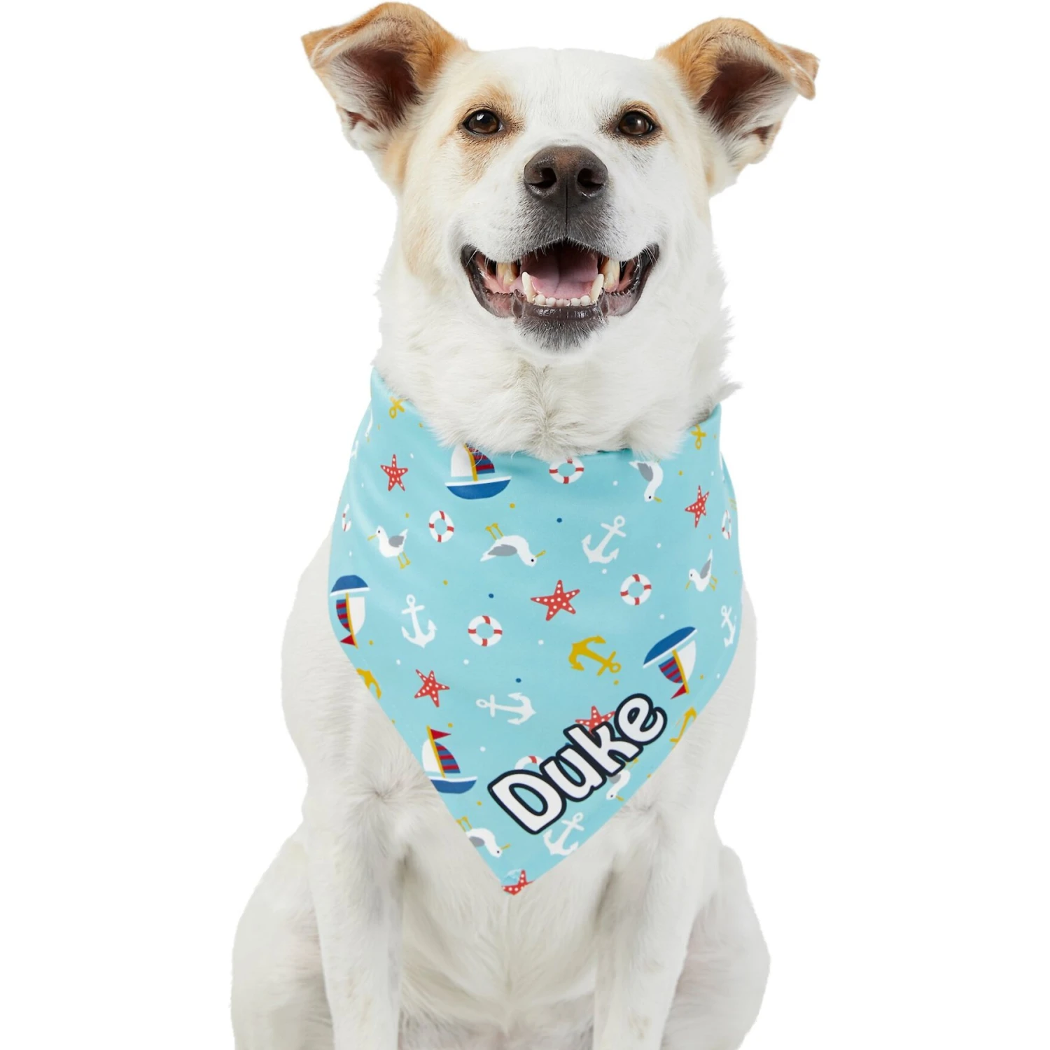 Frisco Nautical Personalized Dog & Cat Bandana - Image 7
