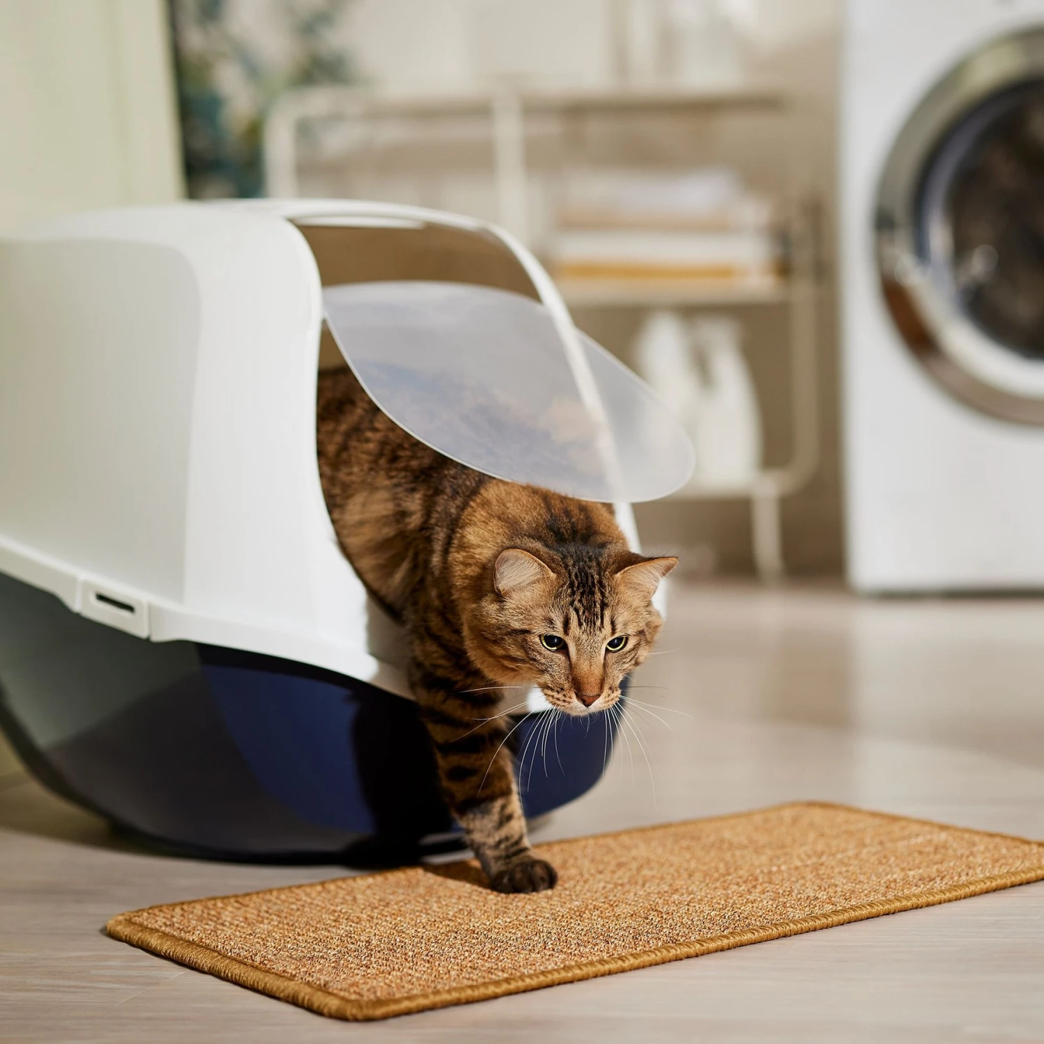 Frisco Sisal Mat - Image 4