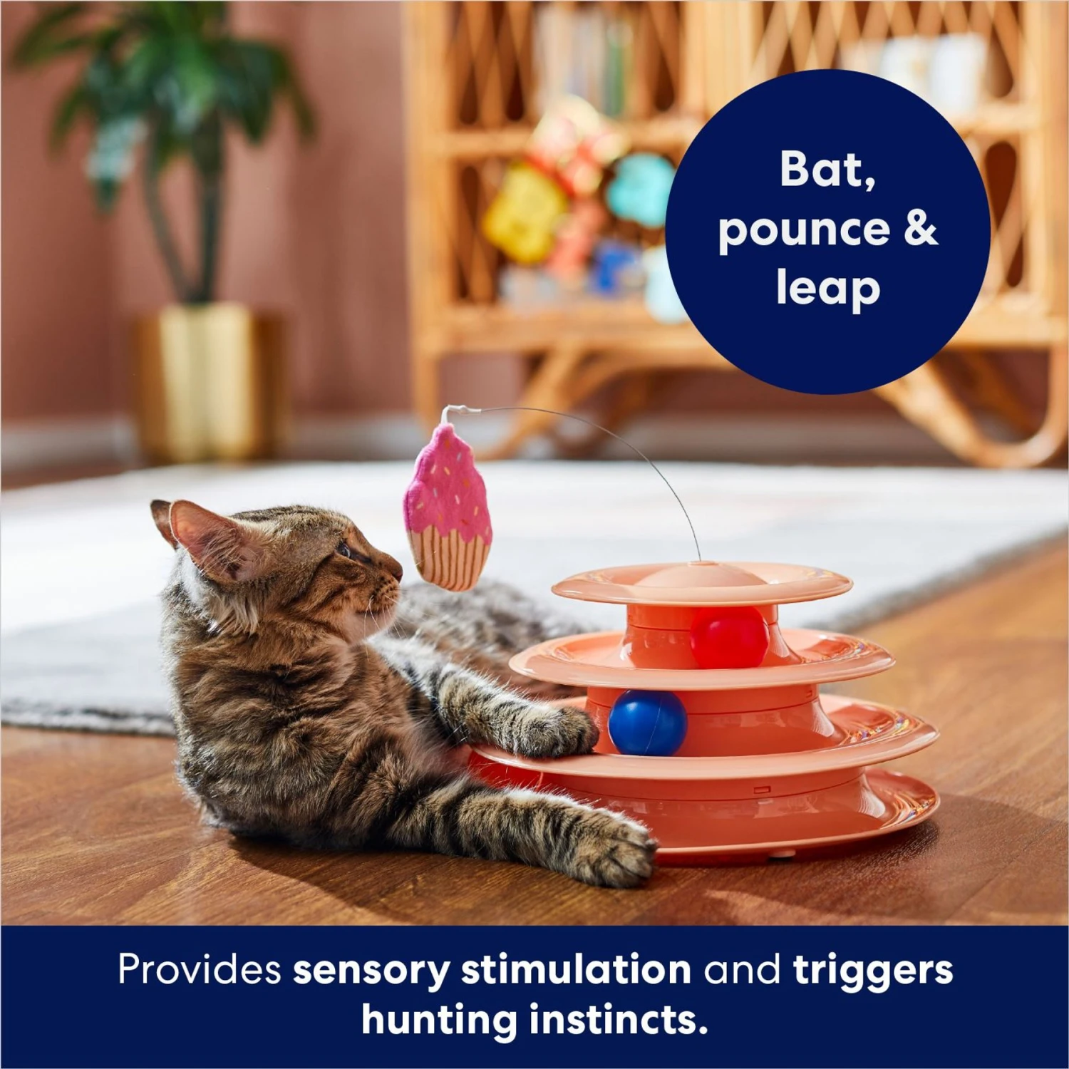 Frisco Birthday Cat Tracks Cat Toy - Image 5