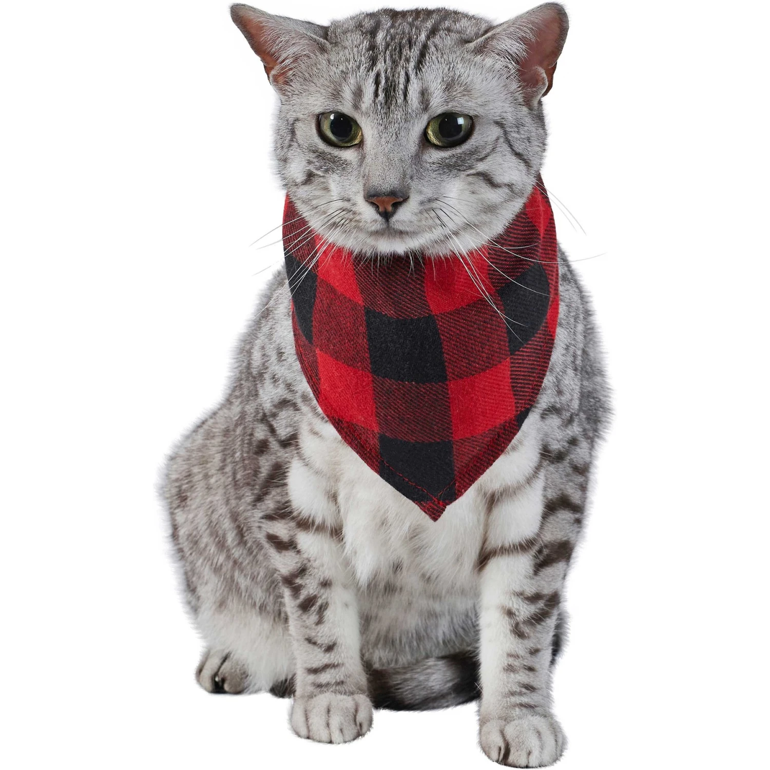 Red Buffalo Plaid Dog & Cat Bandana - Image 4