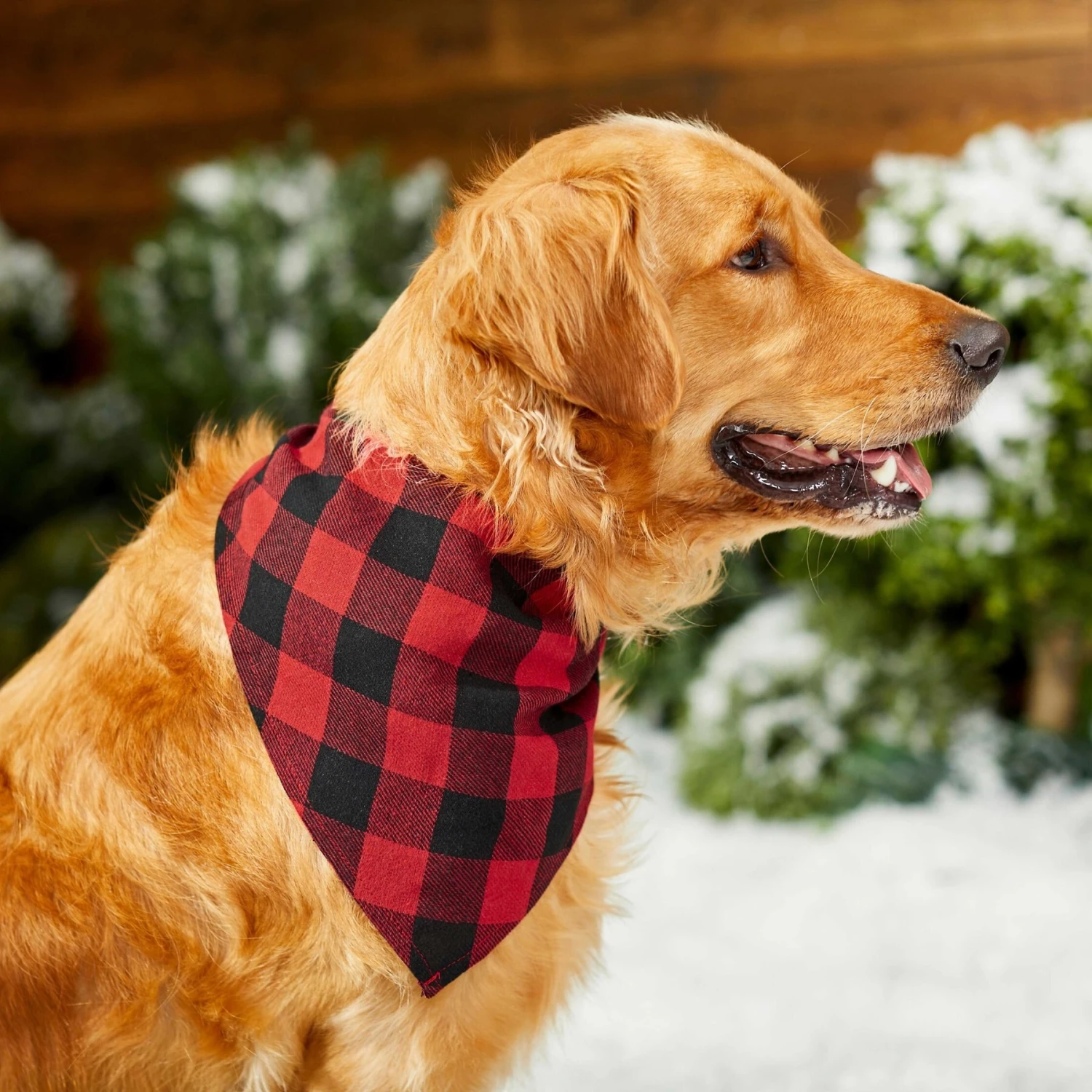 Red Buffalo Plaid Dog & Cat Bandana - Image 6