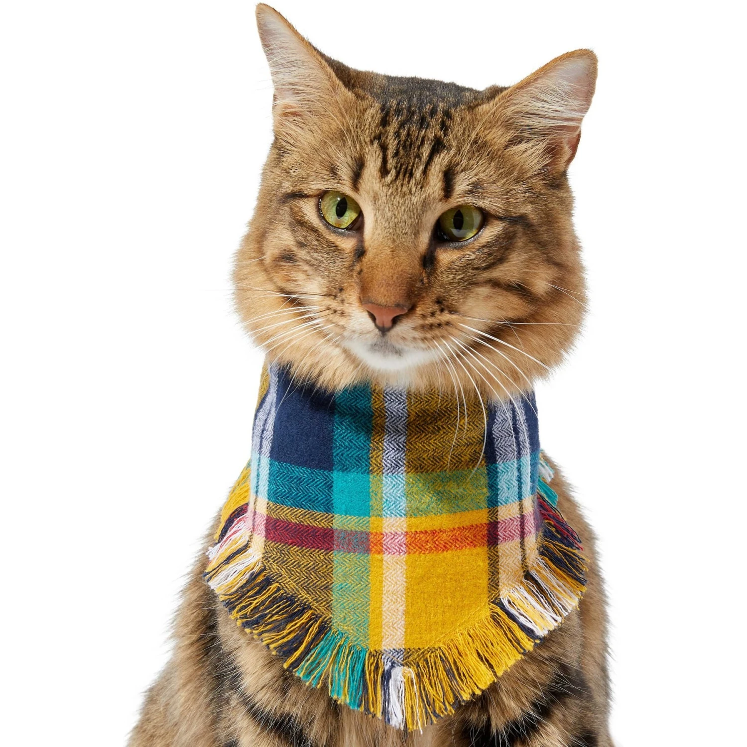 Frisco Blue/Yellow Plaid Dog & Cat Flannel Bandana - Image 4