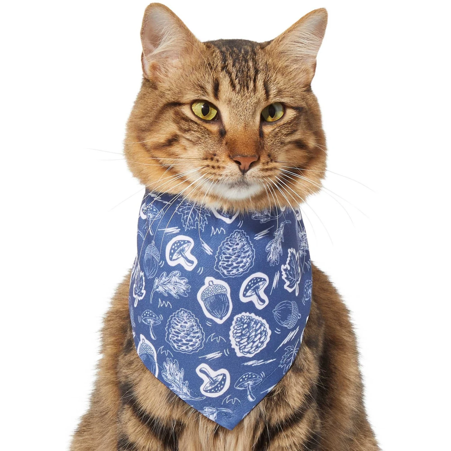 Frisco Fall Vibes Dog & Cat Bandana - Image 4