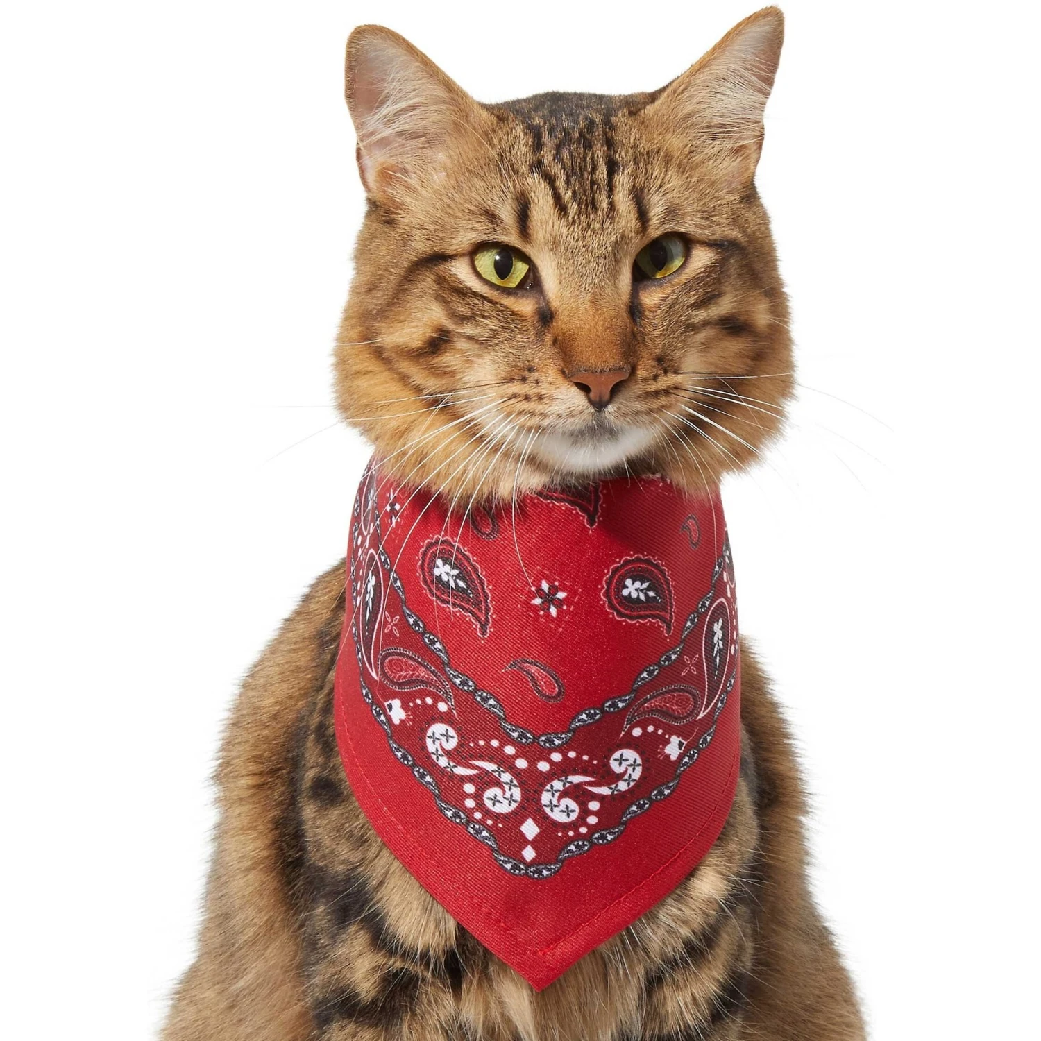 Frisco Red Paisley Dog & Cat Bandana - Image 4