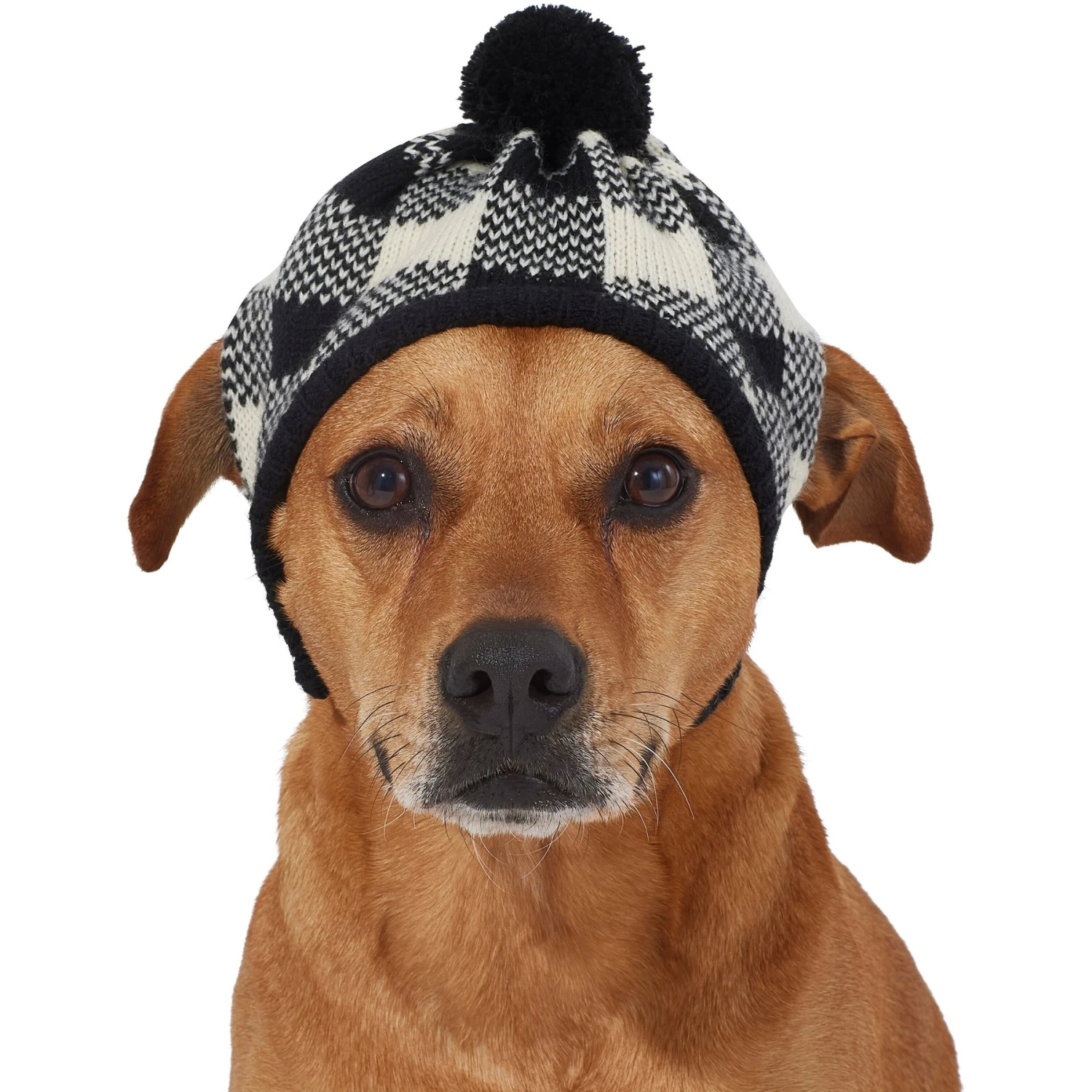 Frisco Plaid Dog & Cat Knitted Hat - Image 3