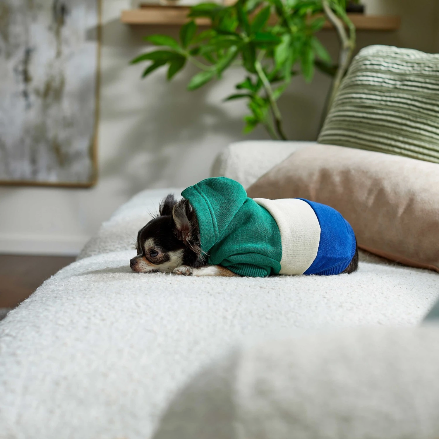 Frisco Colorblock Dog & Cat Hoodie With Sleeves - Image 7