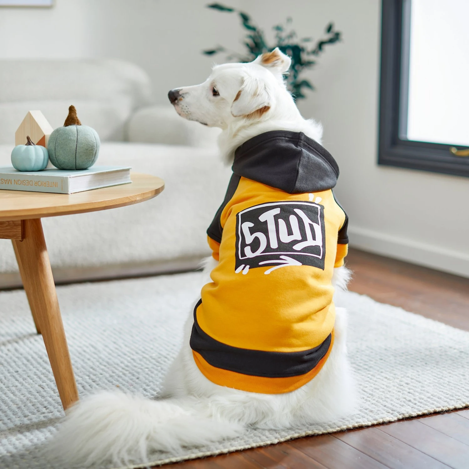 Frisco Stud Dog & Cat Hoodie - Image 8