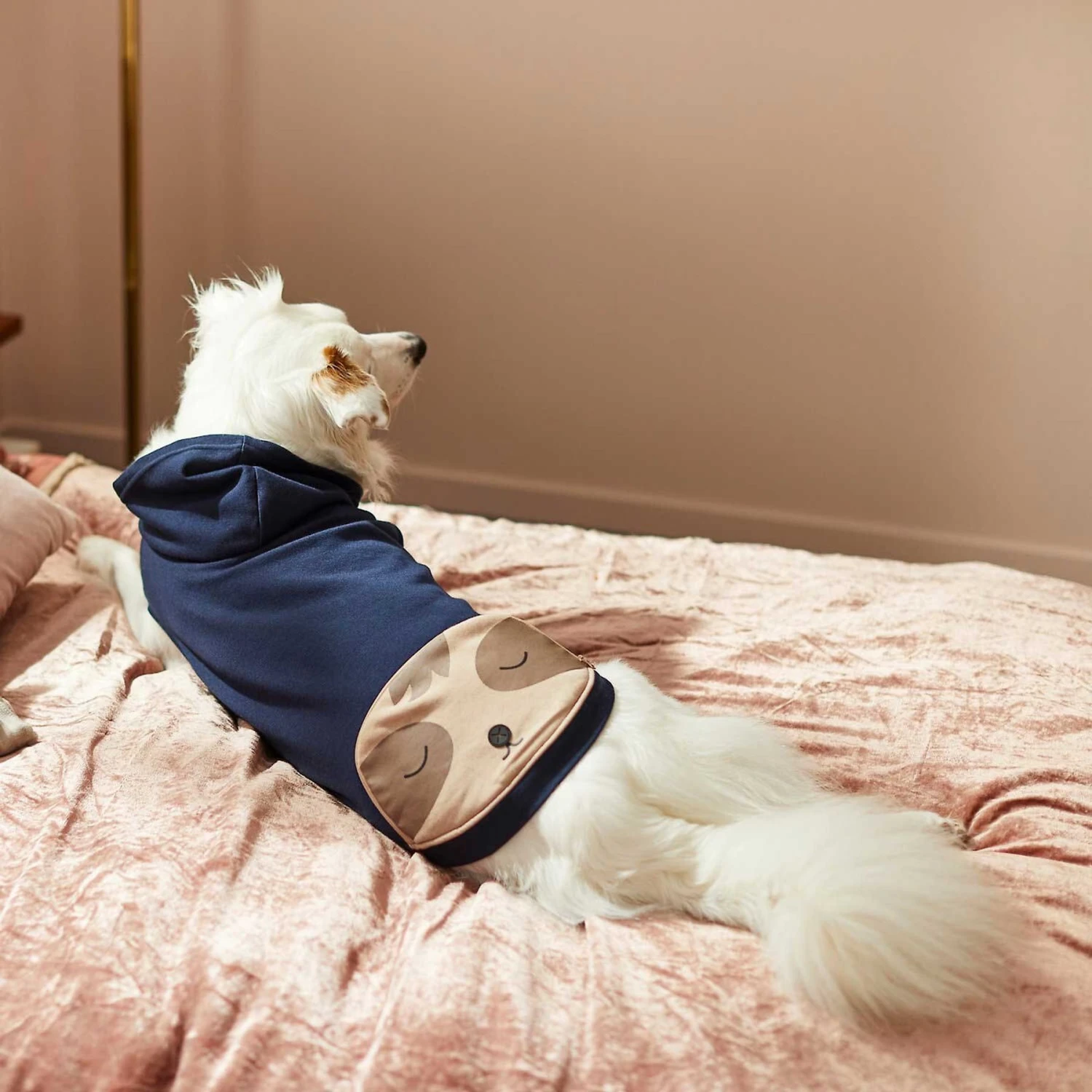 Frisco Sloth Pocket Dog & Cat Lightweight Hoodie - Image 7