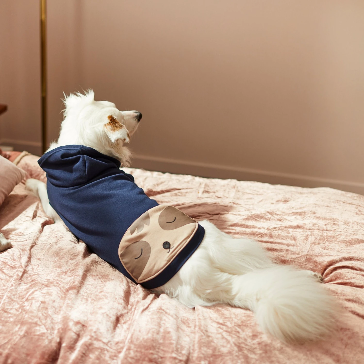 Frisco Sloth Pocket Dog & Cat Lightweight Hoodie - Image 8