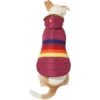 Frisco Mediumweight Colorblock Adventure Insulated Dog & Cat Parka