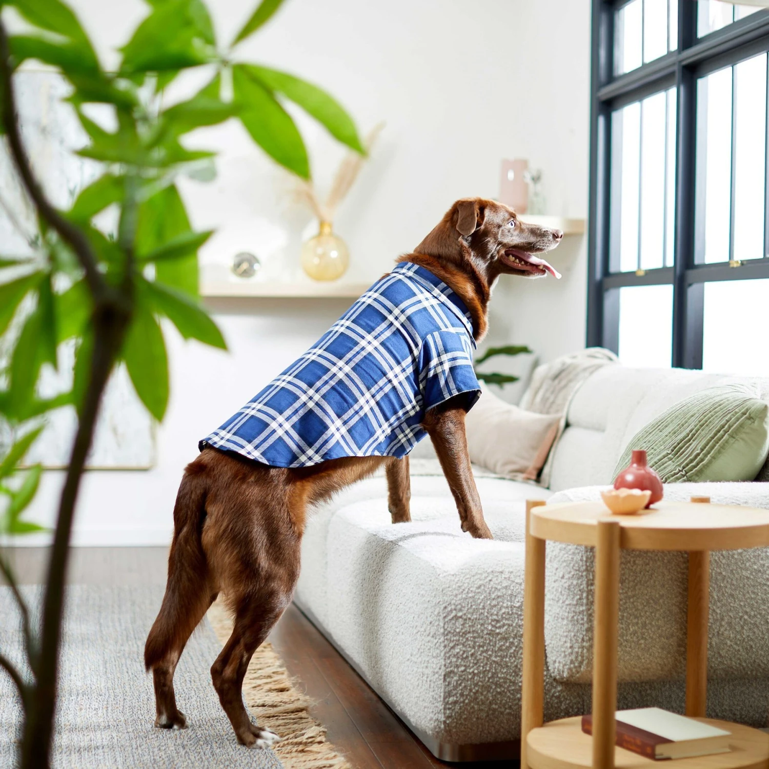 Frisco Navy Plaid Dog & Cat Flannel Shirt - Image 8
