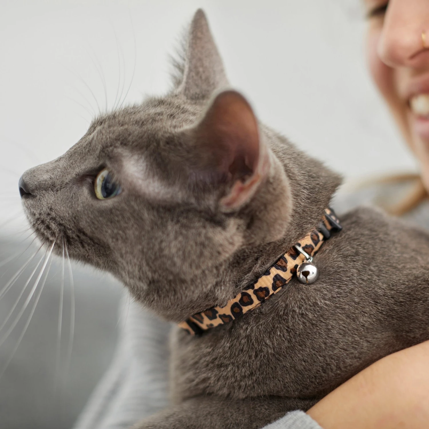 Leopard Print Cat Collar - Image 4