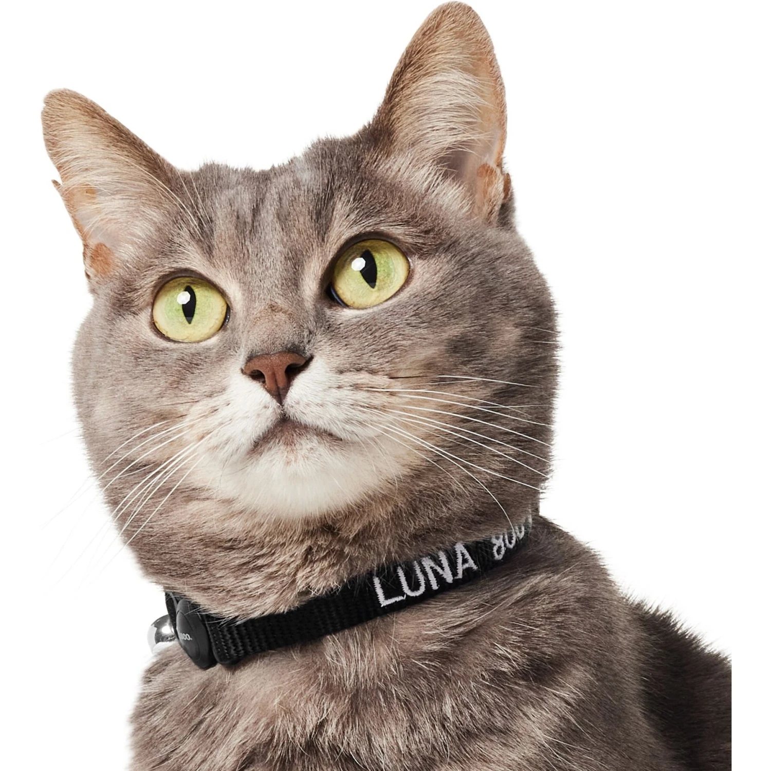 Frisco Nylon Personalized Breakaway Cat Collar With Bell - Image 4