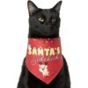 Frisco Santa's Sidekick Dog & Cat Bandana
